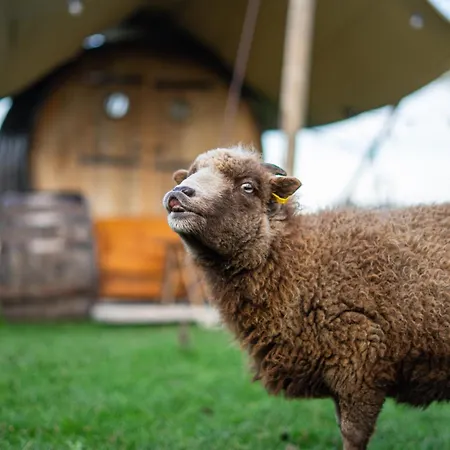 Tiny Winey House No 2 Zennewijnen