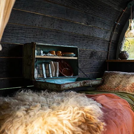 אוהל מפואר Tiny Winey House No 2 *