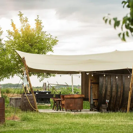 Tiny Winey House No 2