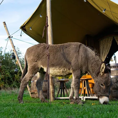 Tiny Winey House No 2 Zennewijnen