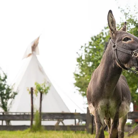 Tiny Winey House No 2 *