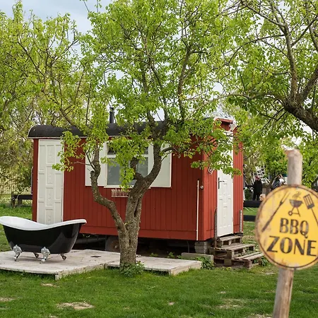 Tiny Winey House No 2 * Zennewijnen