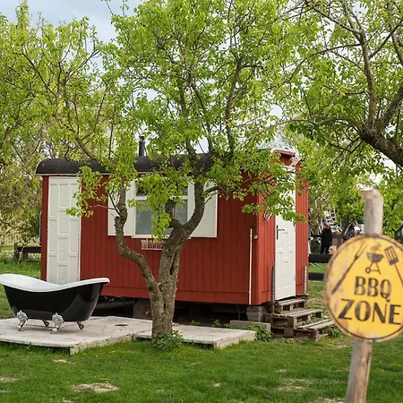 Tiny Winey House No 2 * Zennewijnen