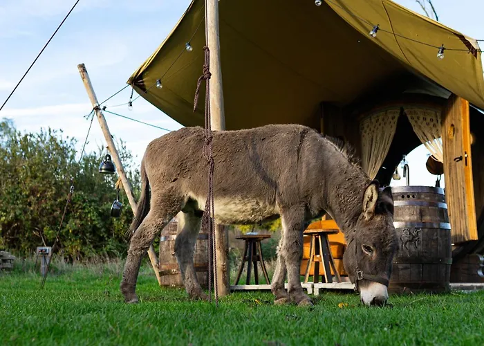 Tiny Winey House No 2 Zennewijnen