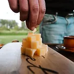 Tiny Winey House No 2 Роскошный шатер
