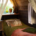 Tiny Winey House No 2 * Zennewijnen
