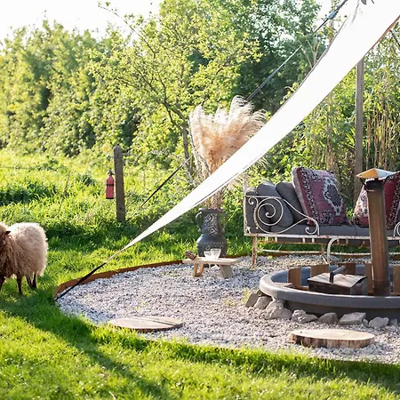 Tiny Winey House No 2 Роскошный шатер