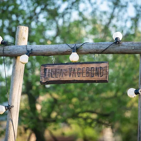 Tiny Winey House No 2 * Zennewijnen