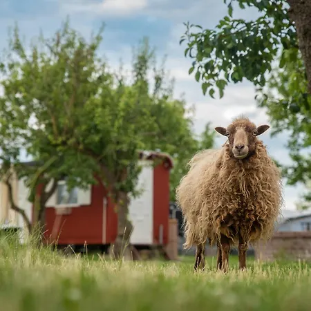 Роскошный шатер Tiny Winey House No 2 Zennewijnen