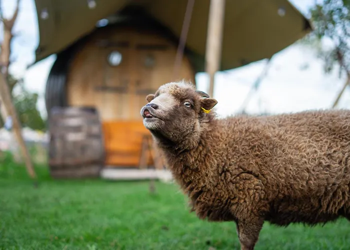 Tiny Winey House No 2 Zennewijnen