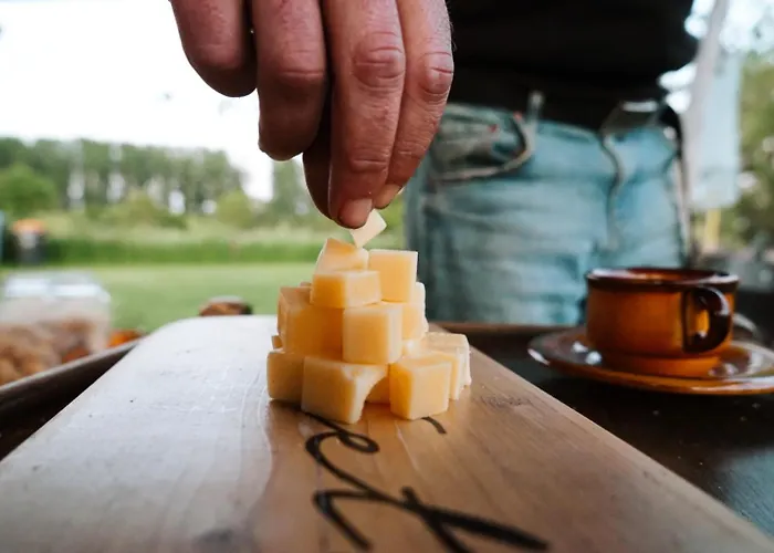 Tiny Winey House No 2 Роскошный шатер