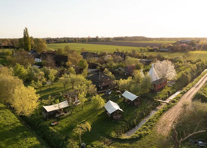 Tiny Winey House No 2 *