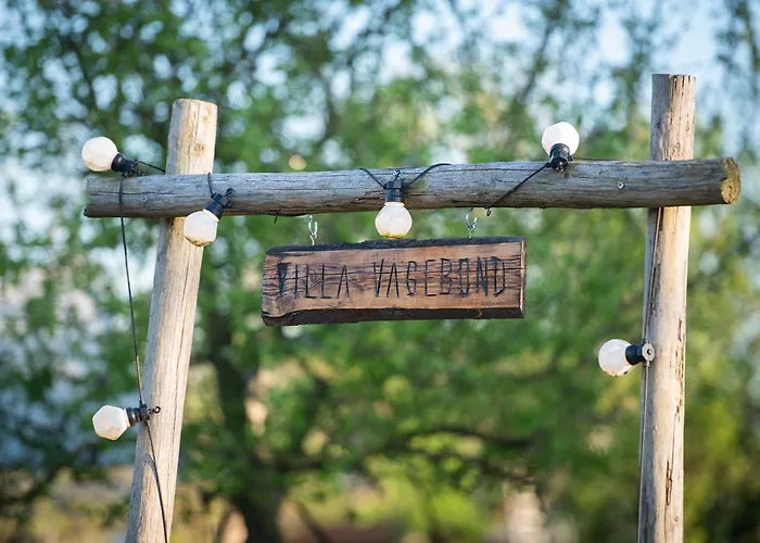 Tiny Winey House No 2 * Zennewijnen