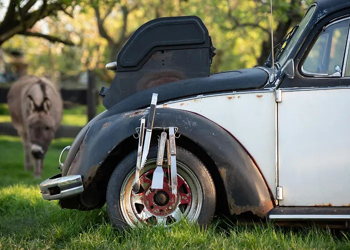 Tiny Winey House No 2 Роскошный шатер Zennewijnen