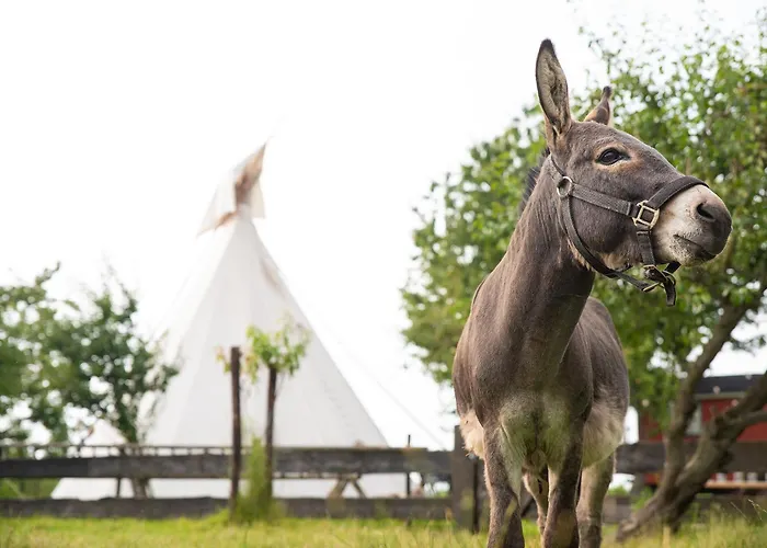 Tiny Winey House No 2 *